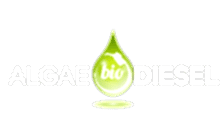 Algae Biodisesel